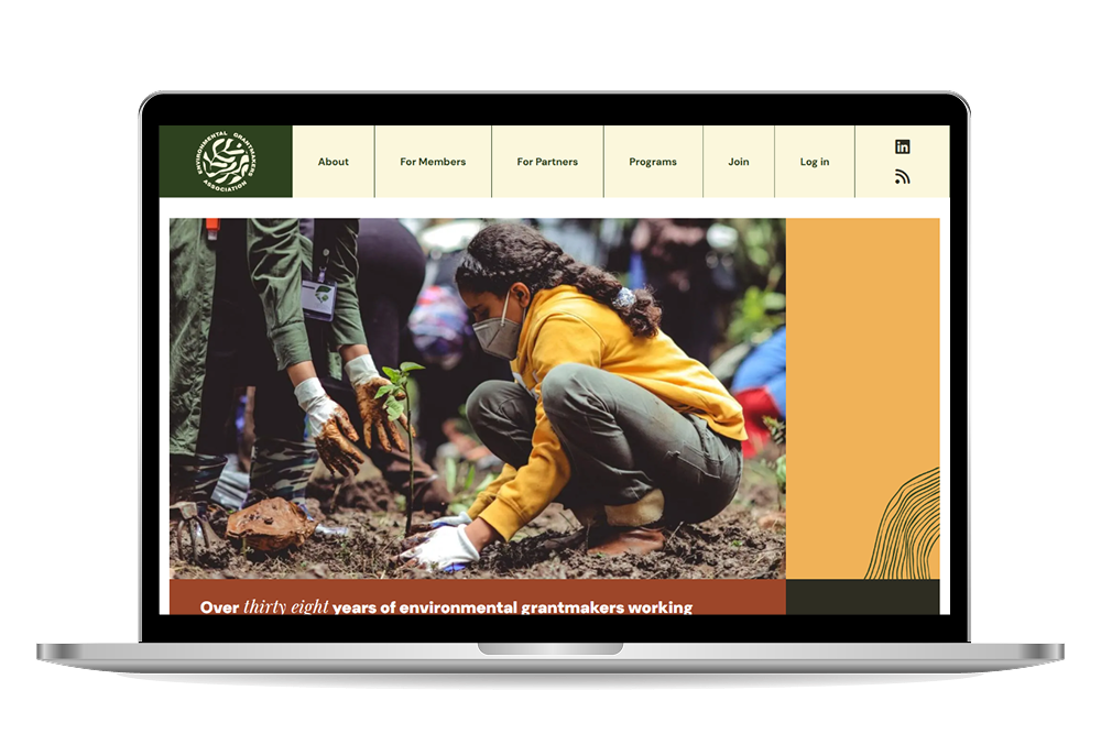 Environmental Grantmakers Association homepage mockup