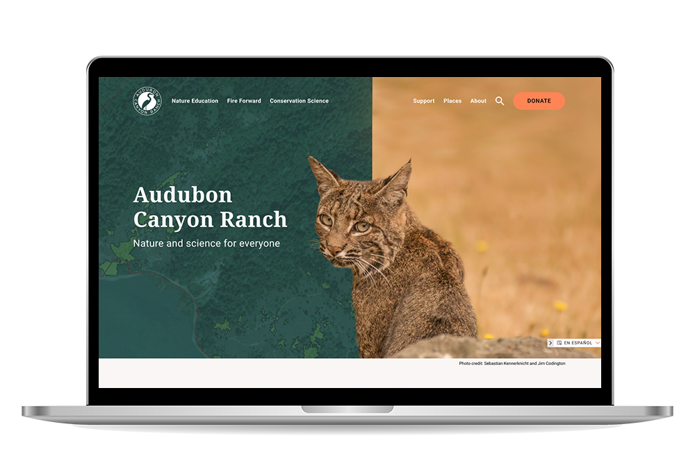 Audubon Canyon Ranch homepage mockup